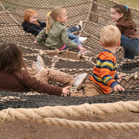 Spider Web - The MAiZE