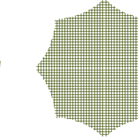 Spider Web - The MAiZE