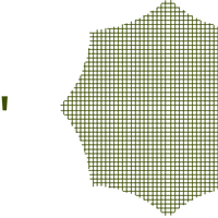 Spider Web - The MAiZE