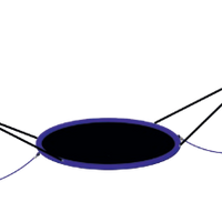Birds Nest Cradle - The MAiZE