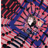 NetForm Square Chimney Climber