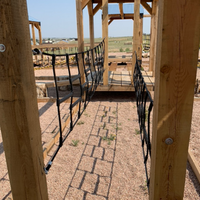 Climbing Rungs- Tarzan Climb (4591-12)