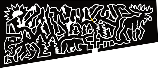 24_CO_Littleton Animals, Moose, Bear, Fish, Sun, Mountain, Tree, Nature