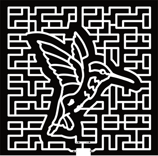 24_MN_Savage Hummingbird, Bird