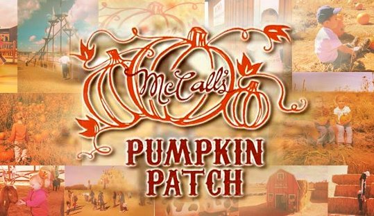 McCall's Pumpkin Patch