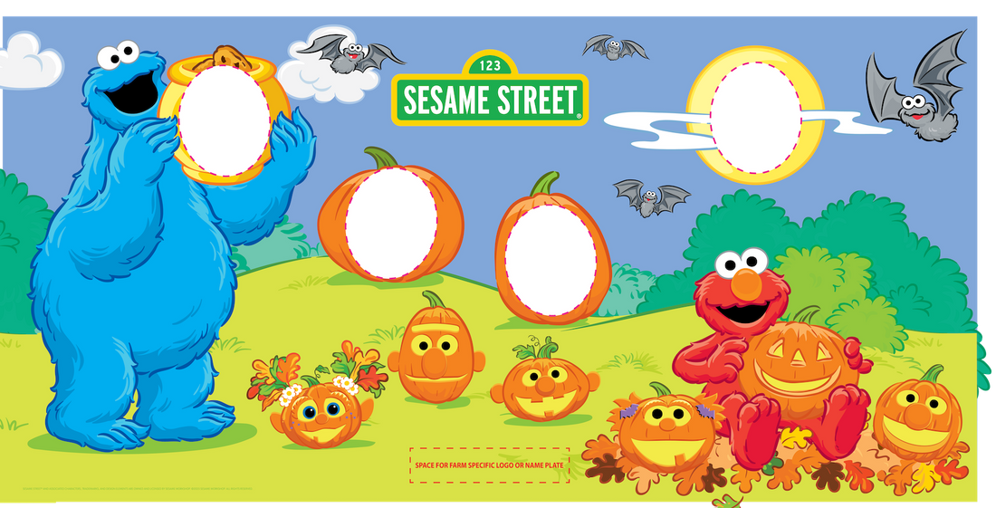 Sesame Street Photo Opp Sign