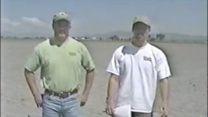 30 Years of The MAiZE