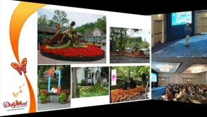 SPECIAL EVENTS FESTIVALS THEMING LANDSCAPING