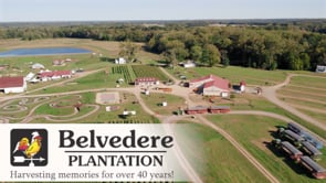 Virtual Farm Tour - Belvedere Plantation