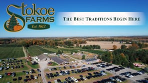 Virtual Farm Tour - Stokoe Farms