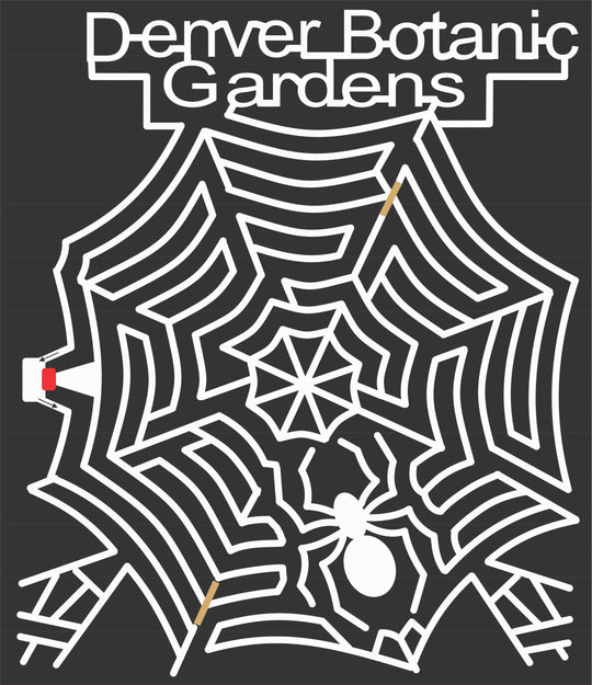 06_CO_Littleton A Colorado, spiderweb, Spider