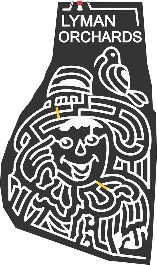 06_CT_Middlefield A Connecticut, Scarecrow, Bird, crow