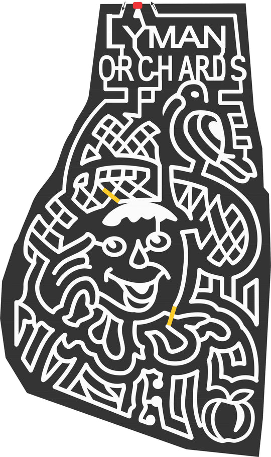 06_CT_Middlefield C Connecticut, Scarecrow, Bird, crow.jpg