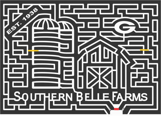 06_GA_McDonough Georgia, Barn, granary, farm