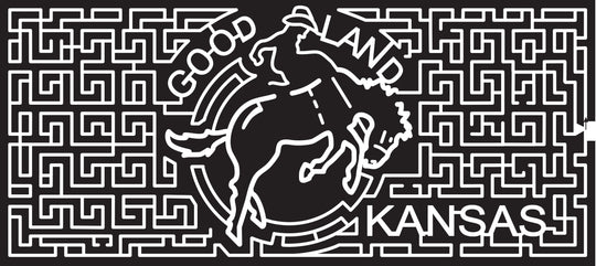 06_KS_Goodland Kansas, Horse, buck, Animal, Cowboy