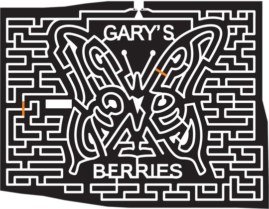 06_KS_Grantsville Kansas, Butterfly, insect