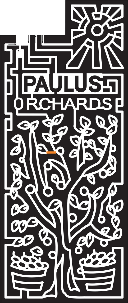 06_PA_Dillsburg Pennsylvania, Tree, branch, Apple, Basket