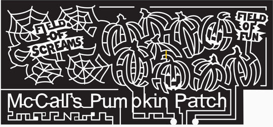 07_NM_Moriarty New Mexico, Pumpkin, jack o'lantern, spiderweb, sign, wood, field of screams, .jpg