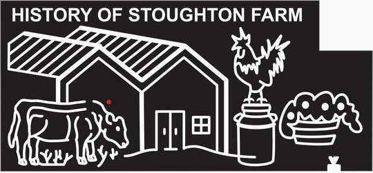 07_NY_New Valley_B New York, Barn, Cow, Rooster, jug, Grass.jpg