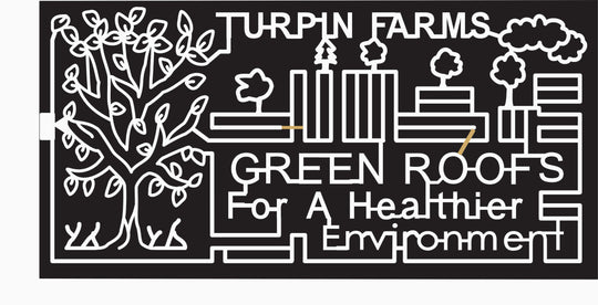 07_OH_Cinncinati Ohio, branch, Tree, leaf, .jpg