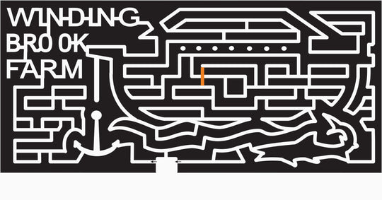 07_PA_Warrington Pennsylvania, ark, Boat, anchor, Fish, shark.jpg