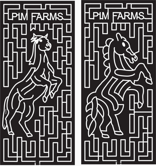 07_SC_Darlington South Carolina, Horse, Animal.jpg