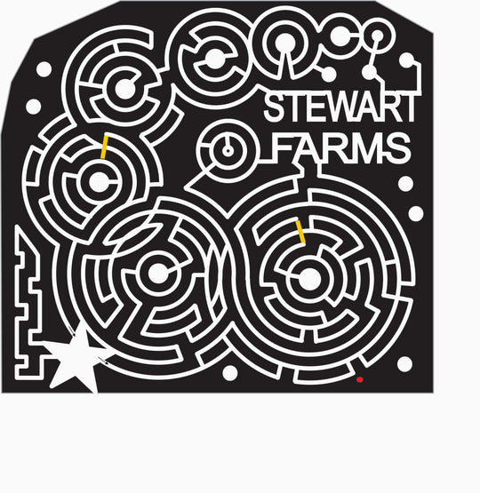 07_SC_Enoree_A South Carolina, crop circle, Circle, star.jpg