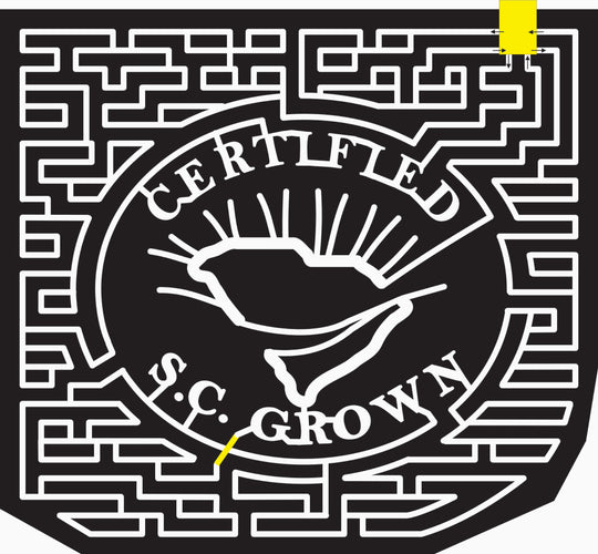 07_SC_Enoree_B South Carolina, state, shape, certified, paths.jpg