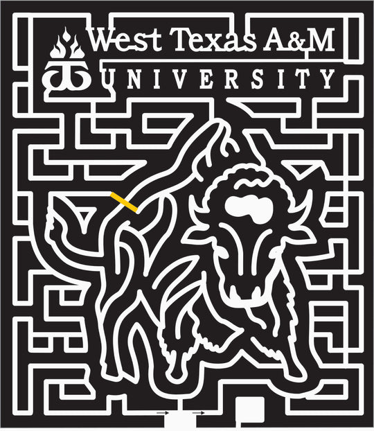 07_TX_Amarillo Texas, bison, Animal, buffalo, west texas, university, a&m, .jpg
