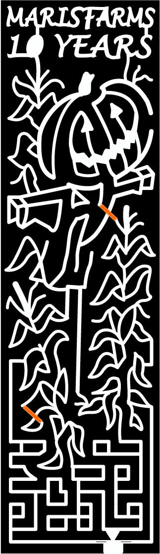 09_WA_Buckley washington, Pumpkin, Corn, Scarecrow, Stalk, 2009