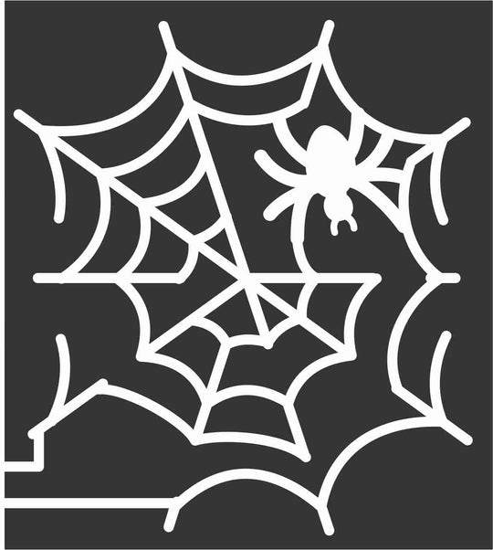 10_MS_Canton B 2010, Spider, web, spiderweb, insect, Mississippi