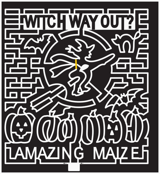 10_ND_Mandan Witch, 2010, Broom, bat, Animal, Animals, Pumpkins, Pumpkin, Wings, Cat, Halloween, North Dakota