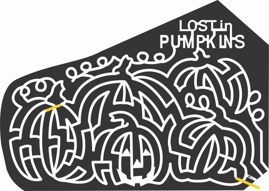 10_NE_Gretna A Pumpkins, 2010, Nebraska