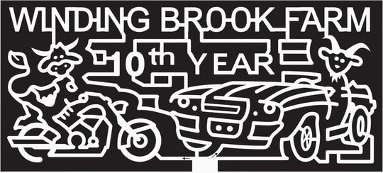 10_PA_Warrington 2010, Cow, Horns, 10, Wheels, wheel, Animal, Animals, Vehicle, Car, Motorcycle, goat, Pennsylvania, winding, brook, bike