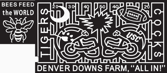 10_SC_Denverdowns Football, Helmet, Tree, Moon, Bee, Wings, Field, Tigers, Cocks, Ball, Denver Downs Farm, Wing, Sports, South Carolina, 2010, College, insect