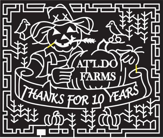 10_TX_Lubbock (Corntraveller's conflicted copy 2010-07-01) Scarecrow, Pumpkin, Bird, Corn, 10, Hand, Hat, 2010, banner, Ribbon, Texas, Stalk.jpg