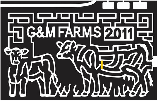 11_CA_Livermore Cow, Grass, cattle, Animal, California, 2011, g&m.jpg