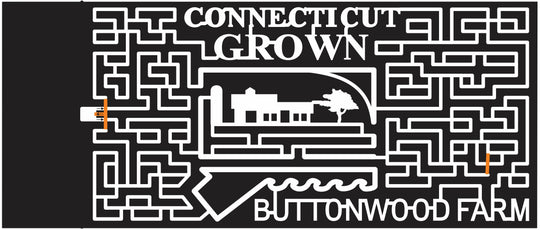 11_CT_Griswold Connecticut, farm, Barn, grown, buttonwood, 2011, paths.jpg