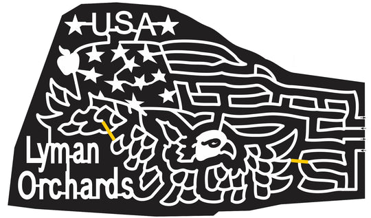 11_CT_Middlefield Connecticut, Butterfly, insect, Wings, 2011.jpg