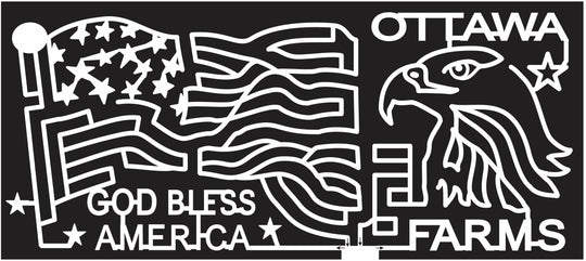 11_GA_Bloomingdale Georgia, Eagle, Animal, Bird, Flag, America, wave, ottawa, 2011, American. patriotic.jpg