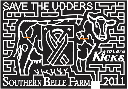 11_GA_McDonough Georgia, Cow, Ribbon, Animal, sponsor, Radio, logo, southern, belle, 2011, kicks.jpg