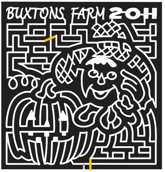 11_IL_Sullivan Illinois, Scarecrow, Pumpkin, brain, 2011.jpg