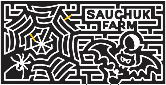 11_MA_Plympton Massachusetts, spiderweb, Spider, bat, web, 2011, sauchuk, Halloween.jpg