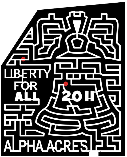 11_NC_Winston_Salem North Carolina, Bell, Liberty, freedom, 2011.jpg