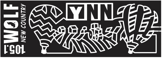 11_NY_Onieda New York, Balloon, hot air balloon, farm, Radio, logo, sponsor, charity, 2011, ynn.jpg