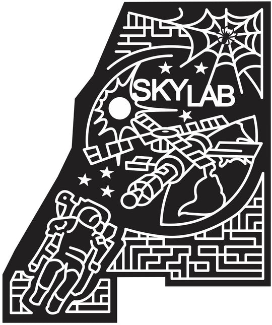 11_NY_Schaghticoke_1 New York, astronaut, Space, spiderweb, Spider, satellite, 2011, web, skylab.jpg