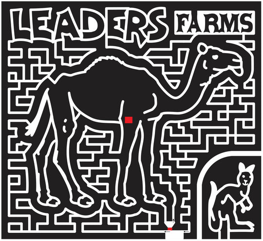 11_OH_Napoleon Ohio, camel, kangaroo, Animal, leaders, 2011.jpg