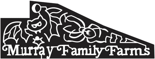 12_CA_Bakersfield California, bat, Spider, Halloween, 2012, murray