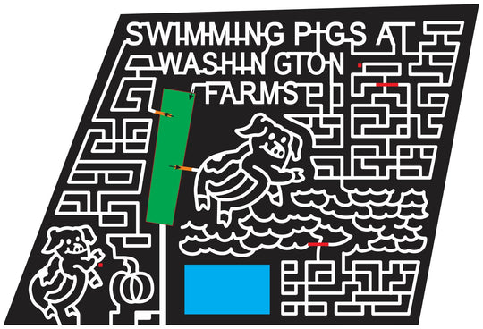 12_GA_Watkinsville Georgia, Pig, Hog, swim, swimming, swimmer, Water, Pigs, Animals, 2012