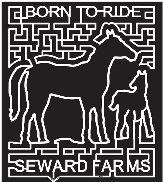 12_MS_Lucedale Mississippi, Horse, pony, Animal, seward, ride, 2012